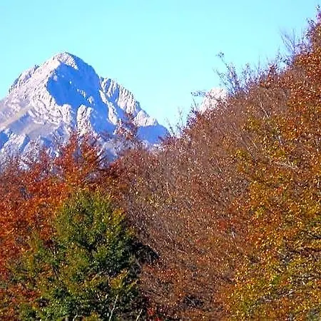 Remona Camaleño